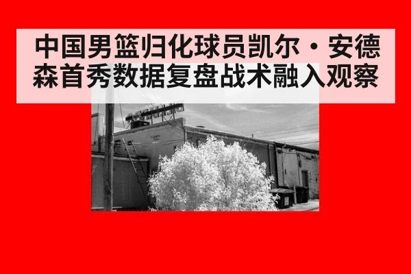中国男篮归化球员凯尔·安德森首秀数据复盘战术融入观察