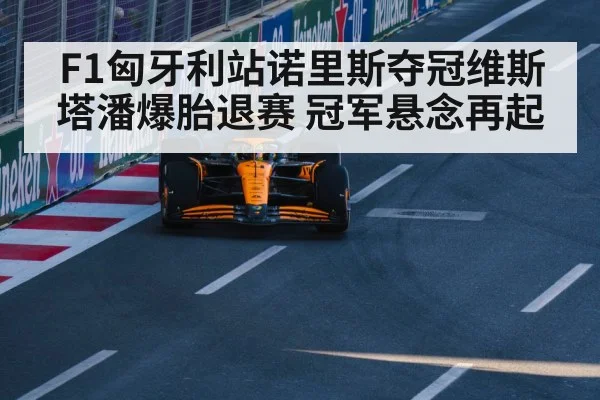 F1匈牙利站诺里斯夺冠维斯塔潘爆胎退赛 冠军悬念再起