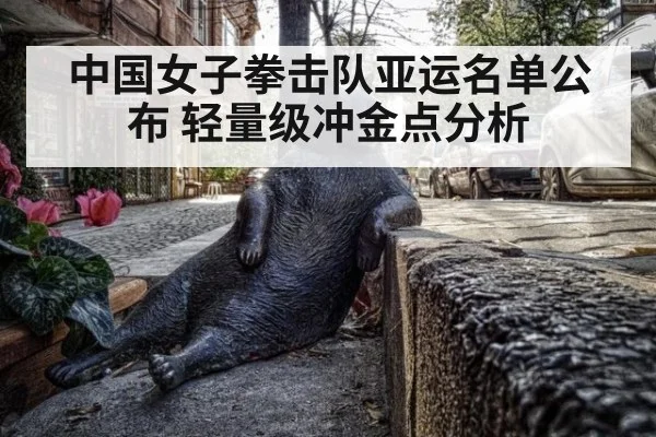 中国女子拳击队亚运名单公布 轻量级冲金点分析